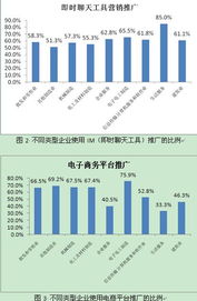 中国互联网络信息中心与互联网信息服务的核心作用